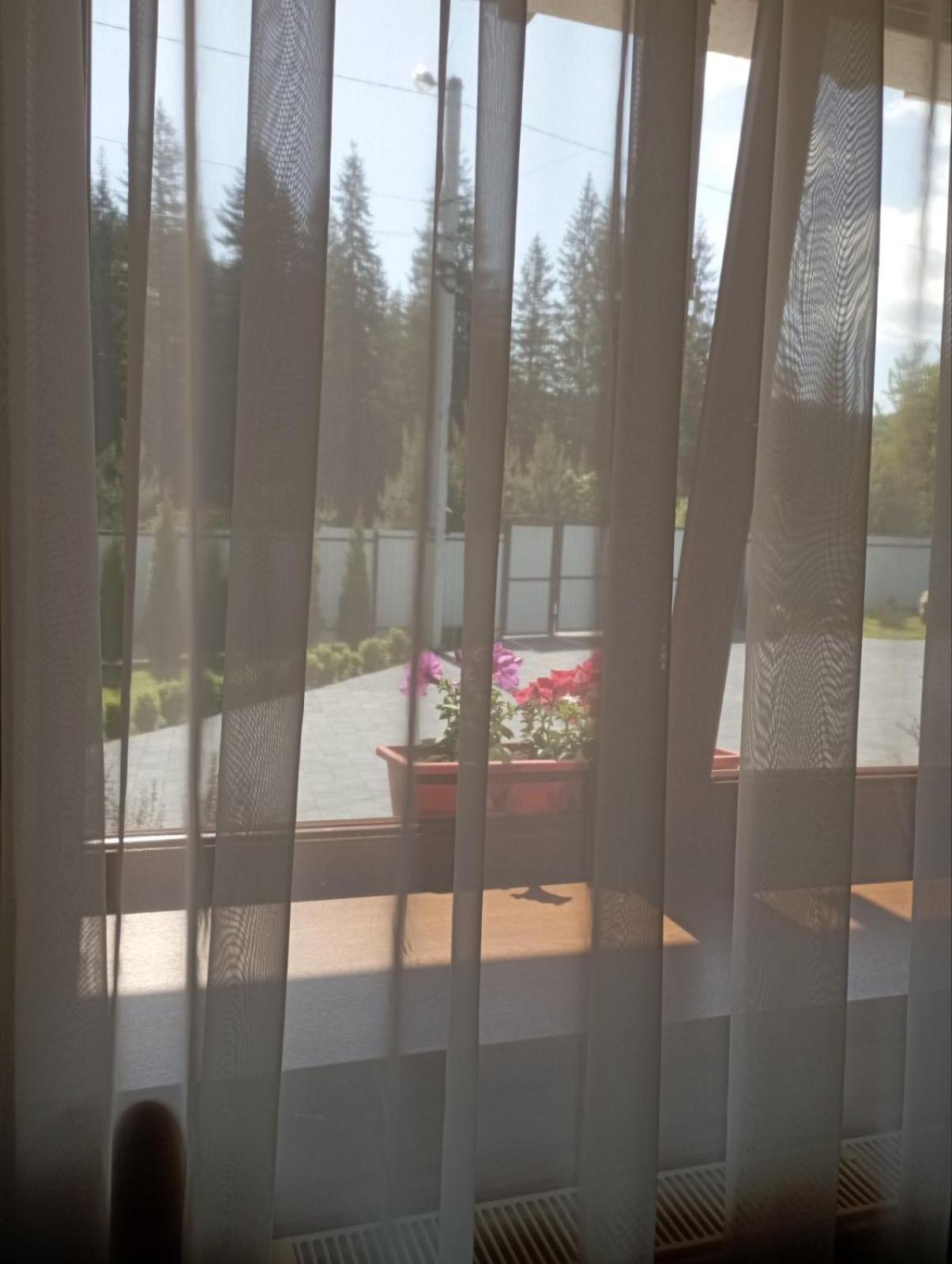 U Anastasii I Sofii Bilya Richki Guest House Mykulychyn Ngoại thất bức ảnh