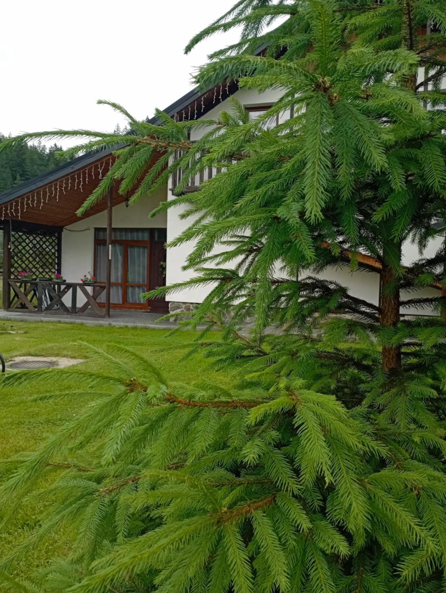 U Anastasii I Sofii Bilya Richki Guest House Mykulychyn Ngoại thất bức ảnh
